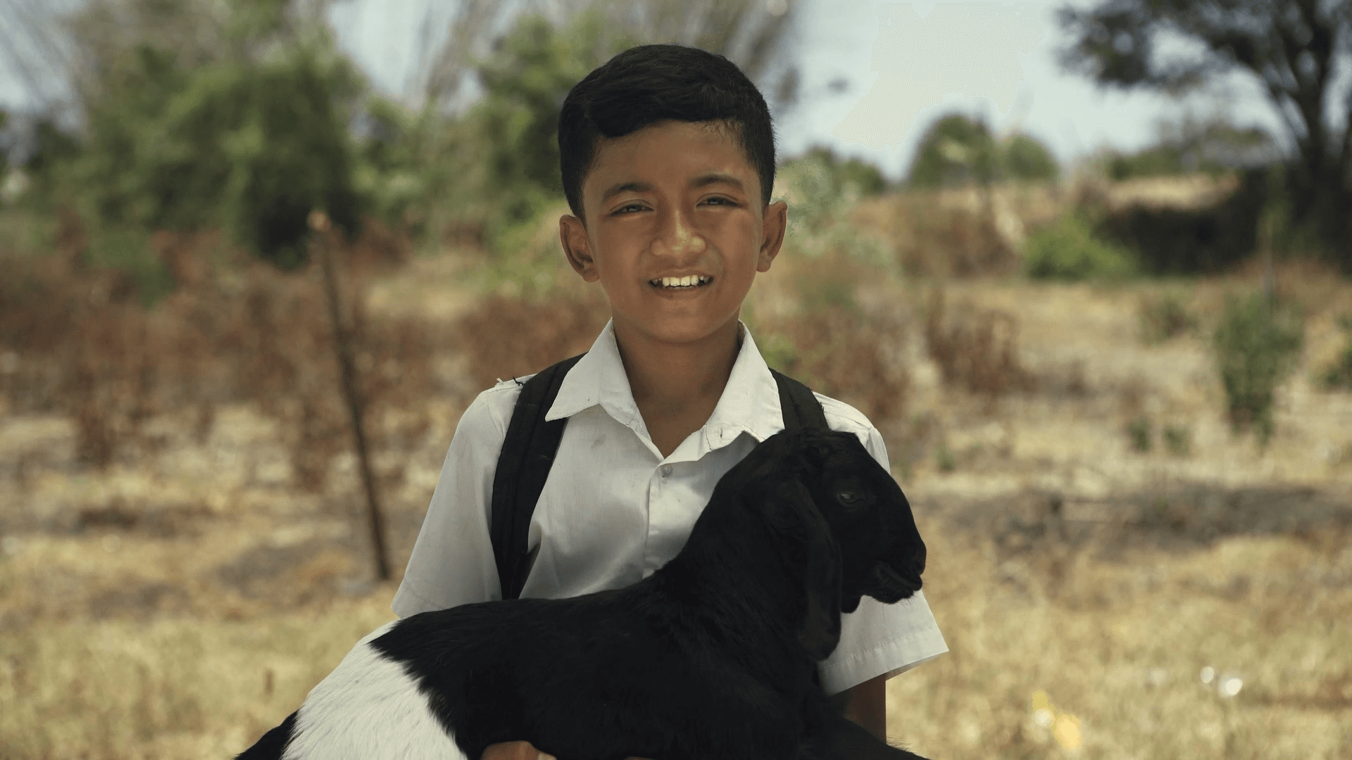 Pepadu